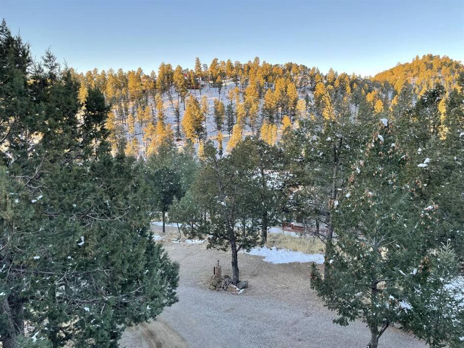Perk Canyon Hidden Acres-Hot Tub-Gas Fireplace Рюидозо Екстериор снимка