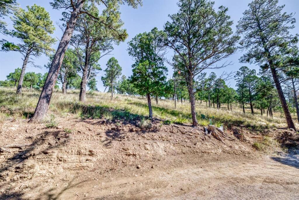 Perk Canyon Hidden Acres-Hot Tub-Gas Fireplace Рюидозо Екстериор снимка
